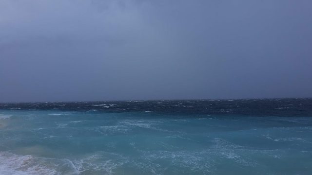 IMG_20220514_120705680.jpg