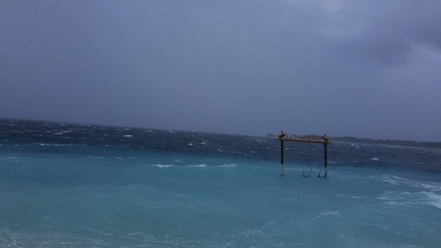 IMG_20220514_120713038-1.jpg