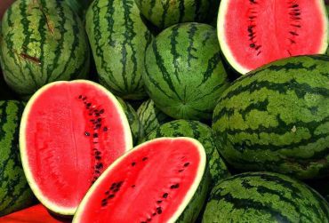 Water-melons-1.jpg