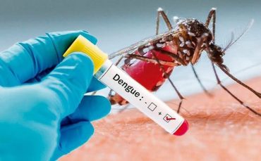 dengue-outbreak.jpg