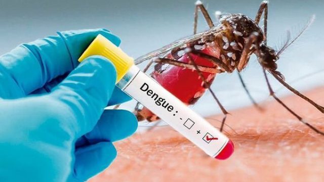 dengue-outbreak.jpg
