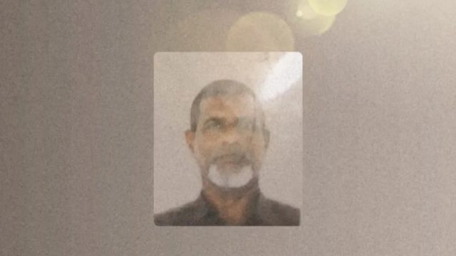 file_mqqpro-2.jpg