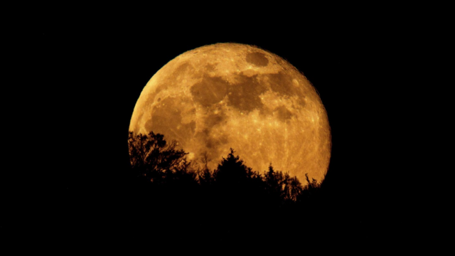 large_172916163644sz2n.png
