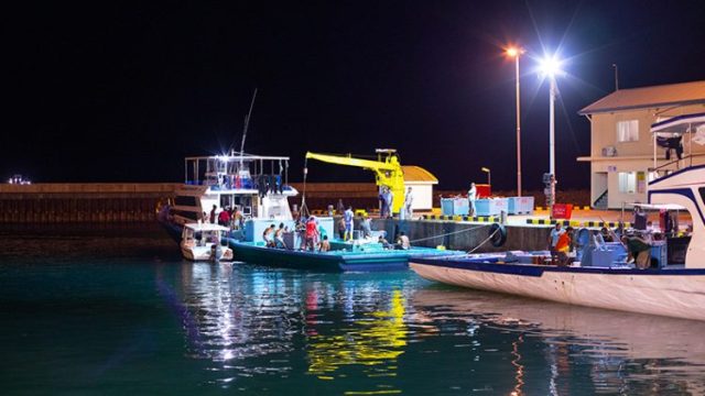 mifco-kooddoo-pmyinn73caofep0q15b5jdyjihn38e1u4at4wjtt9s.jpg