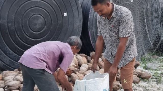 ނޖކމ.jpg
