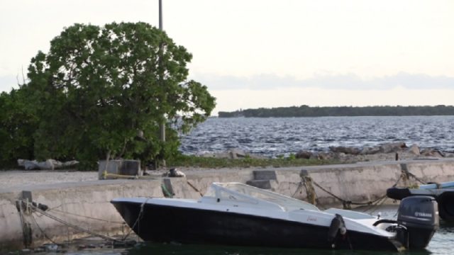 ކޖކޖކ.jpg