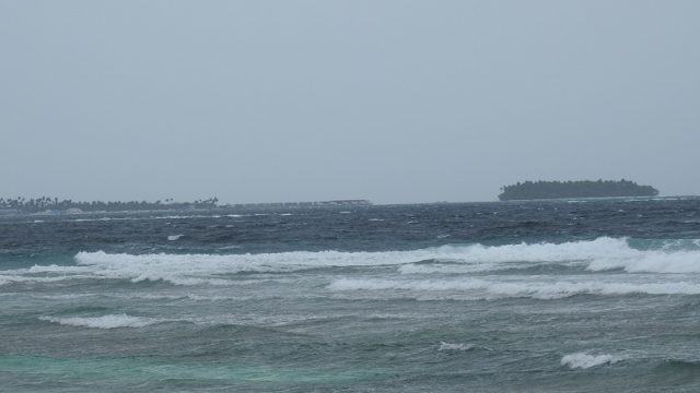 މޫސުން-ގޯސް-ދުވަހެއް.jpg