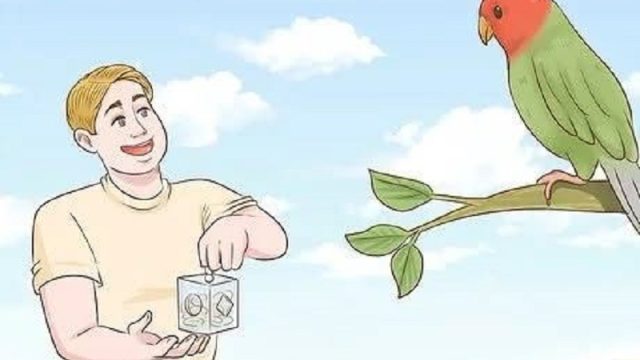 ދޗފަޭށޤﷲ.jpg