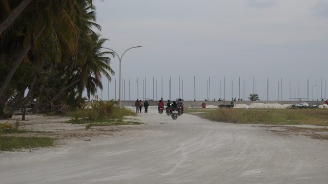 ުިުި.jpg